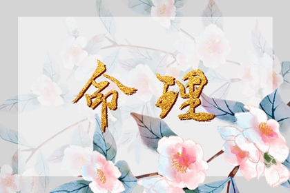 择吉日大全 择吉老皇历 开业择吉日